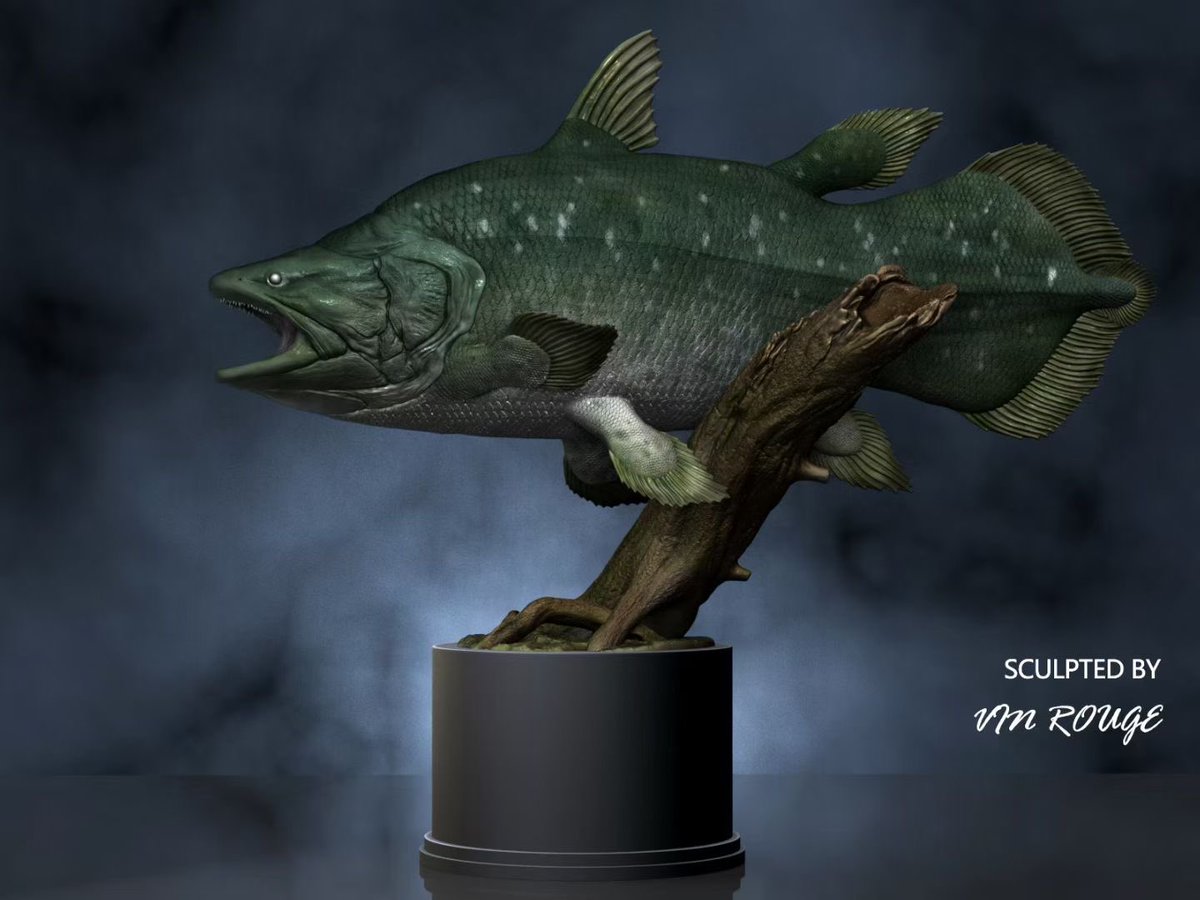 edwinaenvy's tweet image. マウソニア(Mawsonia)
1:20 30cm
kit 23000円
原型@VinRogue227
今回が間に合わない
次回WF2026冬で販売予定