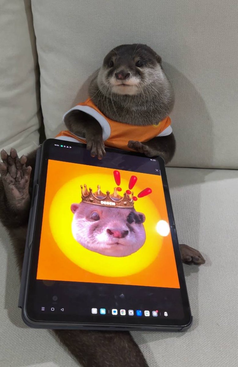 degenonbonk's tweet image. Degen the Otter is stoked to be part of the crypto community — and even prouder to have his very own $DEGEN token! 🦦🚀
To celebrate, he’s giving away 1,000,000 $DEGEN tokens — that’s 200,000 $DEGEN (worth around $130 USD) each to 5 lucky degens!
Here’s how to enter:
✅ Follow…