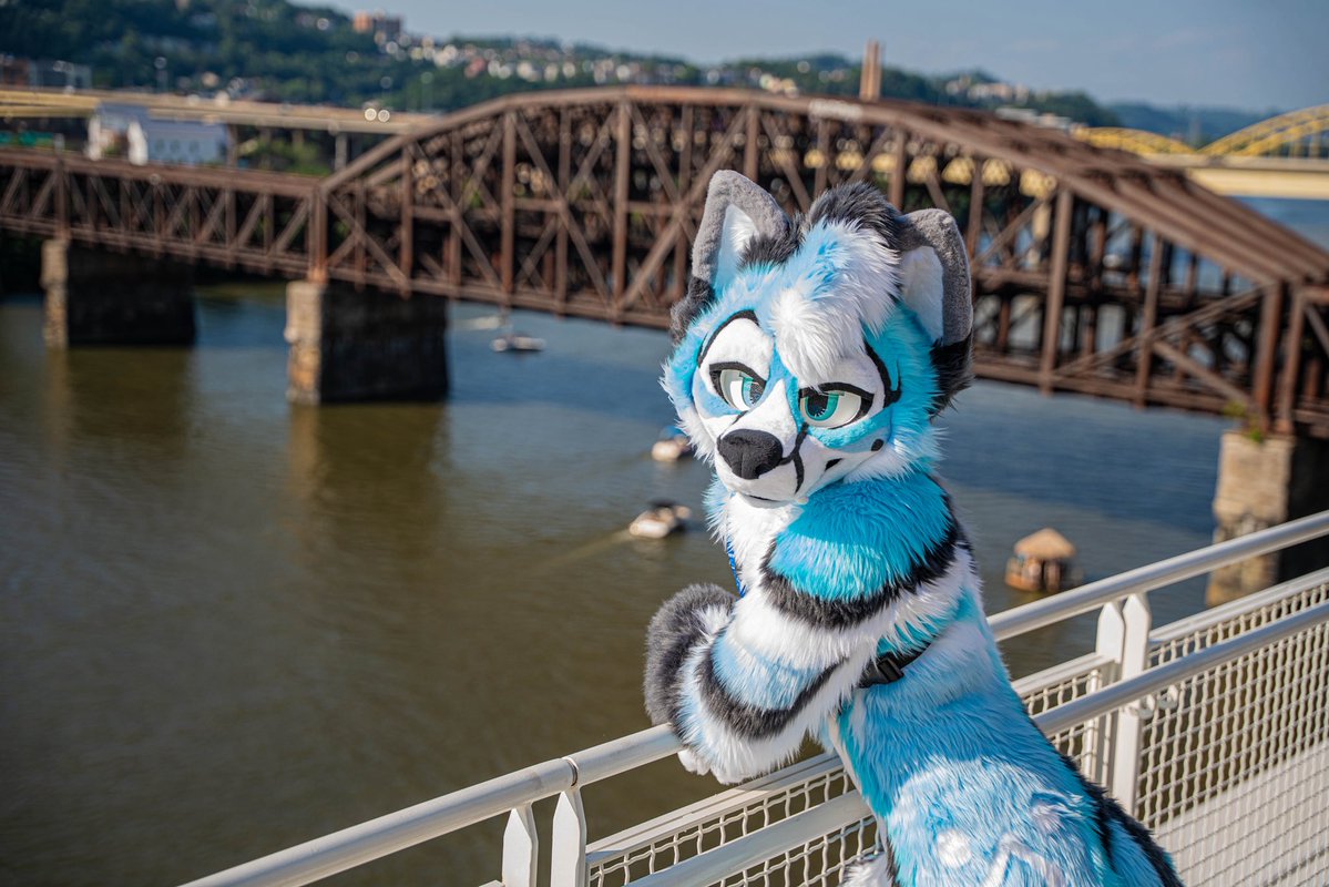 CybrFur's tweet image. Just watching the world 🌐🩵

🧵 @sheenitude 
📸 @HakuHusky