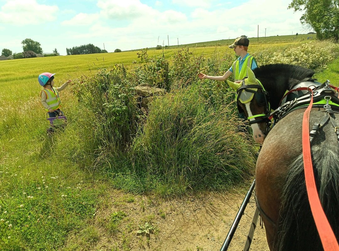 Was this really only a year ago today? How fast our beloved Billy declined 😞 
Miss him so much 💕 🐎