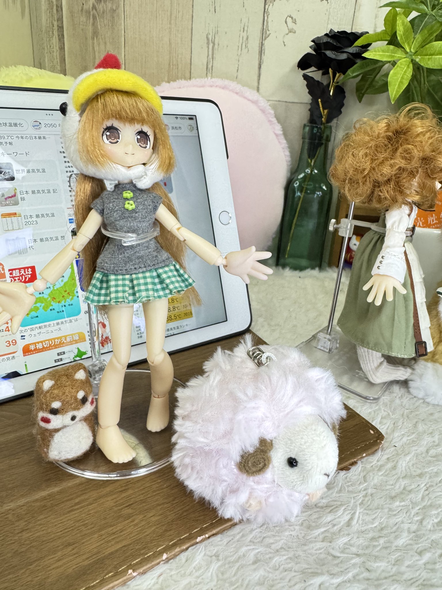 くまきち様　ヘルシーデニム くまきち on X: 