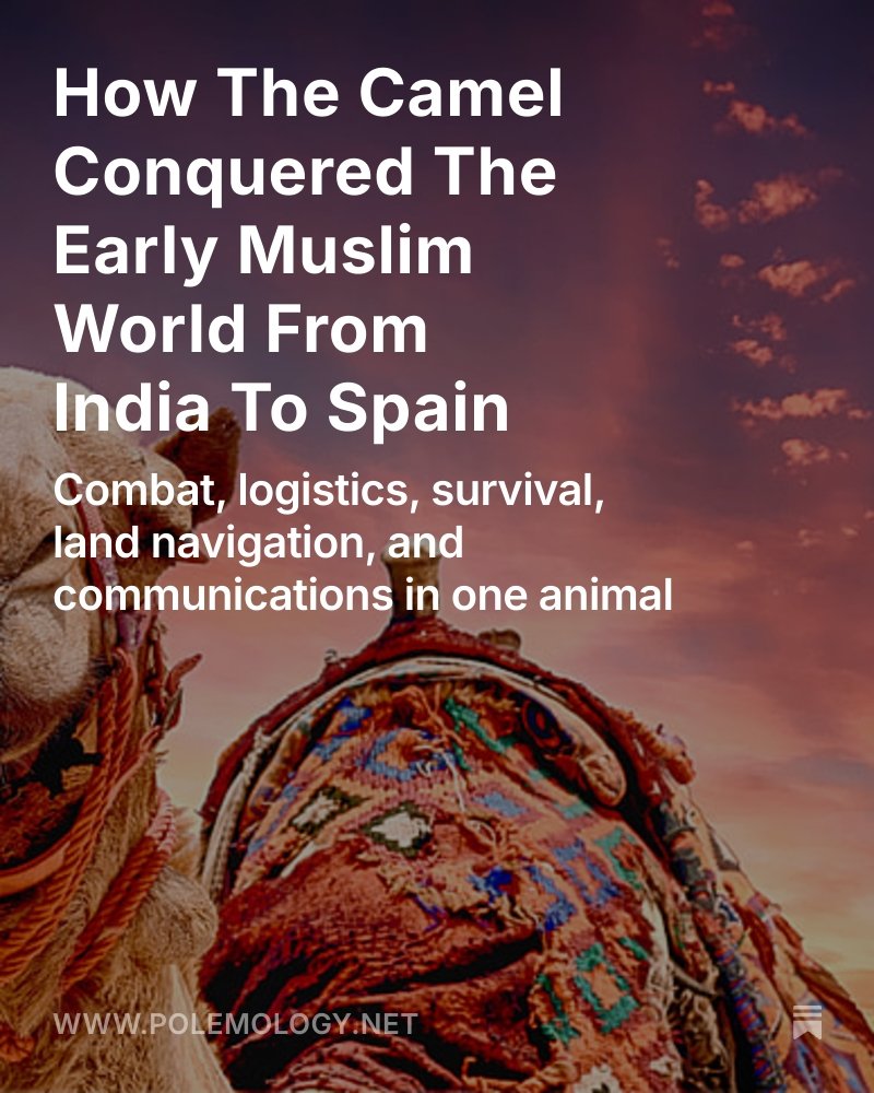 OsborneInk's tweet image. The Arab conquests were a material matter of maneuver and logistics, made possible by the conversion of the late Roman world to camel transport and commerce. The Arabs conquered where the camel already reigned supreme over the cart.
For premium subscribers. 🔽🔽🔽