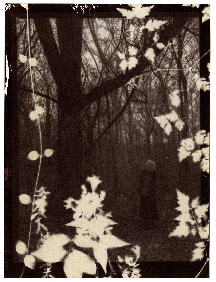 clovescence's tweet image. art i made with silver nitrate and table salt