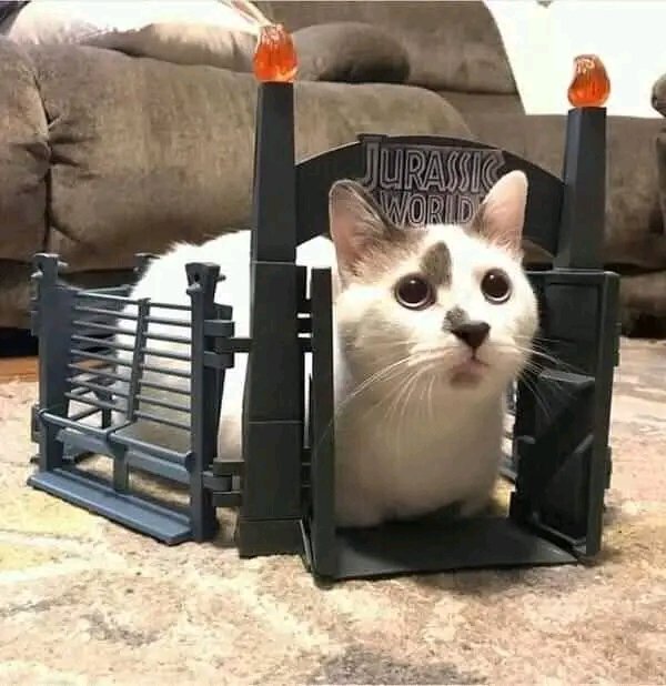 tiofelino2's tweet image. Jurassic Cat 🐱🐾