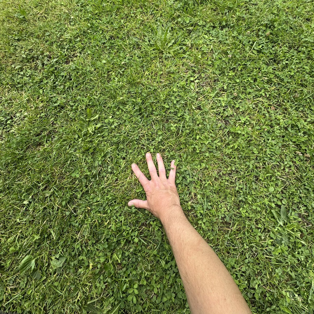Carl_m101's tweet image. Touching grass today.

Family vacation inbound ❤️