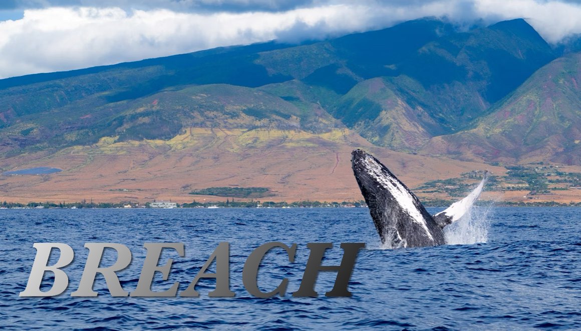 SymphUnchained's tweet image. #UnchainedSymphonies word of the day: Breach

Tag #UnchainedSymphonies for retweets💜 

#WritingPrompts