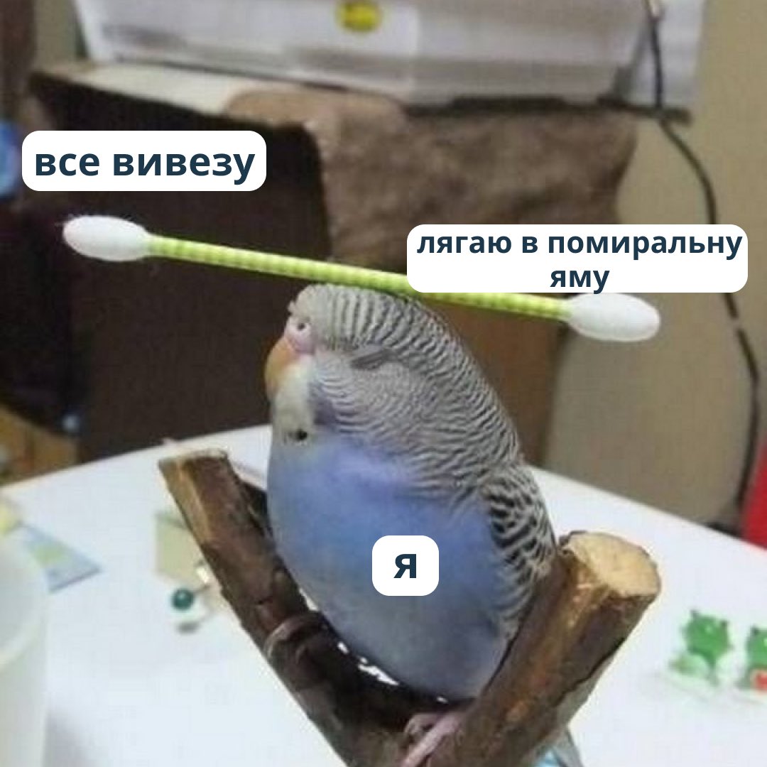 щоразу коли вам хочеться лягти в помиральну яму, згадайте, що вдома є світло і ви за нього ще не заплатили