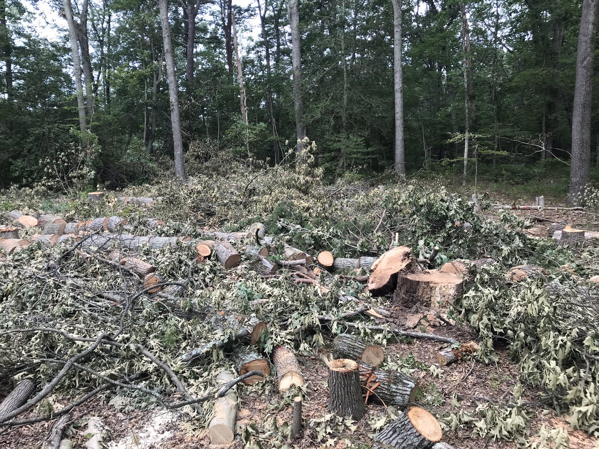 BrowneWorks's tweet image. Future location of the new workshop