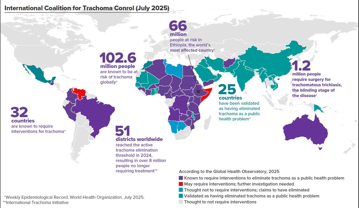 Uniting to Combat Neglected Tropical Diseases (@combatntds) on Twitter photo We're closer than ever to eliminating trachoma by 2030! New <a href="/WHO/">World Health Organization (WHO)</a> data shows the SAFE strategy (surgery, antibiotics, facial cleanliness, environmental improvement) has driven a 93% drop in trachoma risk over 23 years.
🔗 Learn more: bit.ly/4m634rT
#UniteActEliminate We're closer than ever to eliminating trachoma by 2030! New <a href="/WHO/">World Health Organization (WHO)</a> data shows the SAFE strategy (surgery, antibiotics, facial cleanliness, environmental improvement) has driven a 93% drop in trachoma risk over 23 years.
🔗 Learn more: bit.ly/4m634rT
#UniteActEliminate