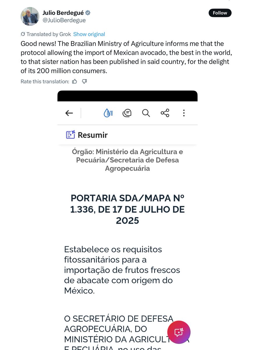 VOMexico's tweet image. #MexicoBrazil 🇲🇽🇧🇷: The Brazilian Ministry of Agriculture has authorized the import of Mexican avocado.
The Mexican Minister of Agriculture, Julio Berdegué celebrated the good news on his X account.
A masterful strategic move of Mexico in the face of an unpredictable U.S.