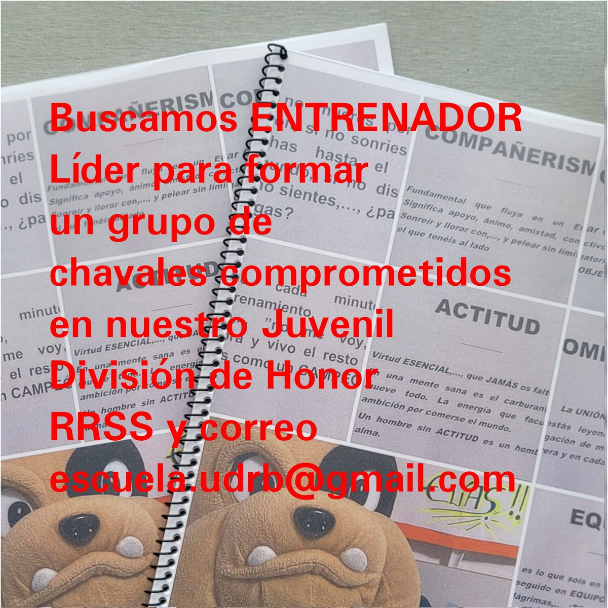 UD Las Rozas FS (@udrb) on Twitter photo Queremos que seas tú quién nos ayude a formar a un grupo de jugadores con ilusión y muchas ganas de trabajar de cara a su formación como deportistas y como personas.
Pregunta a través de nuestras RRSS y en el correo electrónico escuela.udrb@gmail.com
Te esperamos
#adnUNION Queremos que seas tú quién nos ayude a formar a un grupo de jugadores con ilusión y muchas ganas de trabajar de cara a su formación como deportistas y como personas.
Pregunta a través de nuestras RRSS y en el correo electrónico escuela.udrb@gmail.com
Te esperamos
#adnUNION