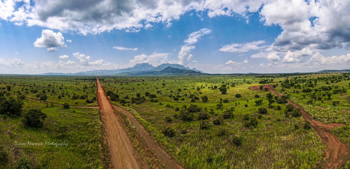 NewmanDixon1's tweet image. In my head!
Seriously considering waking up one day and spending 31 days on the eastern Uganda Circuit! 🙂↔️😎🤪
Pain Upe
Lake Opeta
Nakapiripiriti
Moroto
Bokora
Matheniko
Amudati
Kabongo - Kotido
Kidepo
Ajai Reserve
East Madi
Working on a none profit project - Birds…