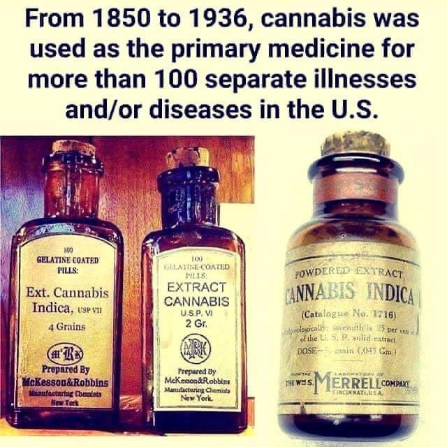 <a href="/LtGovTX/">Office of the Lieutenant Governor Dan Patrick</a> Remember when our whole country used cannabis for almost a century with zero negative impacts? 

Where was the zombie apocalypse? Did everyone go insane? 

Hard science shows that cannabis is 114x less harmful than alcohol with myriad benefits. 

Of course, your Big Alcohol