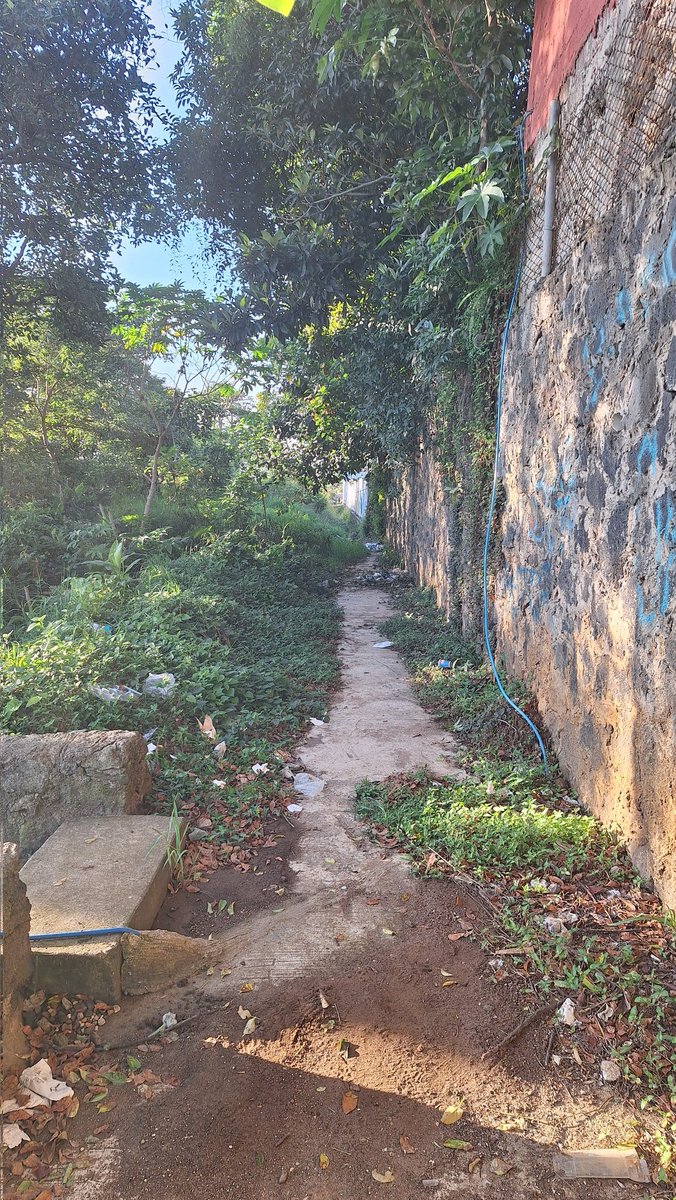 Special_T_'s tweet photo. @AytoXalapa urge que atiendan la limpieza y chapeo del andador Camino Antiguo a Naolinco, atrás de la calle Peral y esquina con Cam.Antiguo al Sumidero. Ya es un basurero y baño público https://t.co/x4h8kvGO5V