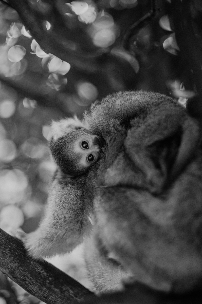 最近のお気に入り