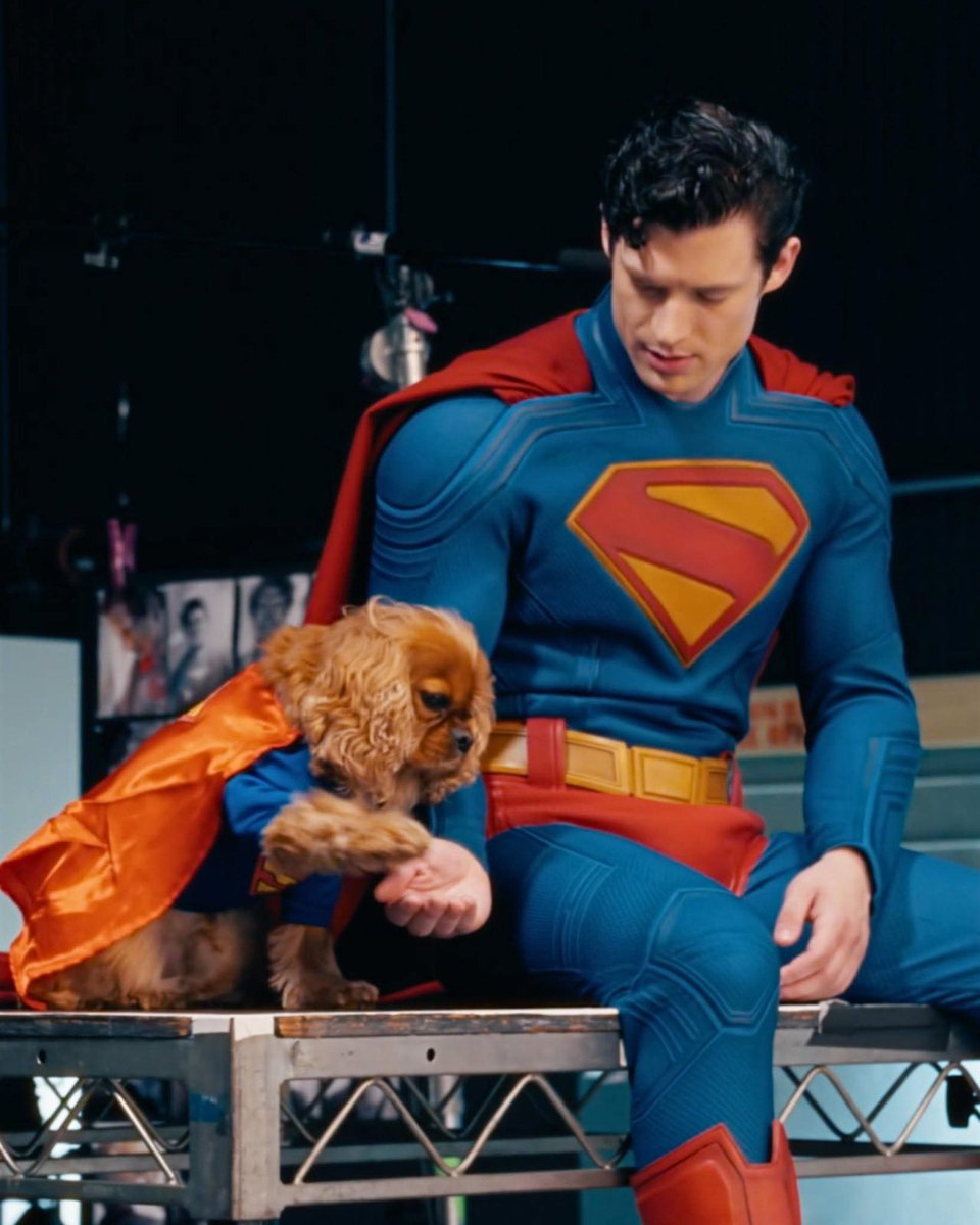 anakinsjuno's tweet image. seeing david corenswet bring his own dog to set in a little superman costume made my day 😭