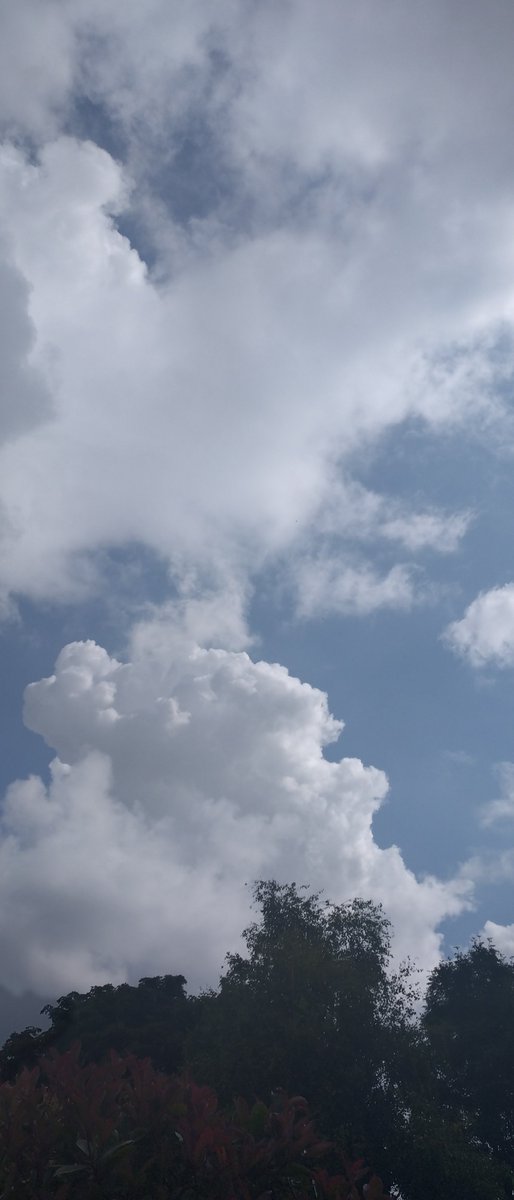 After the fab thunderstorm..🌨️🩶🖤so much thunder and lots of heavy rain 🌨️🩶👌🏻the lovely big clouds are back..🌤️🩵☁️☀️and garden is so refreshed.🏵️🌿🌱🪻