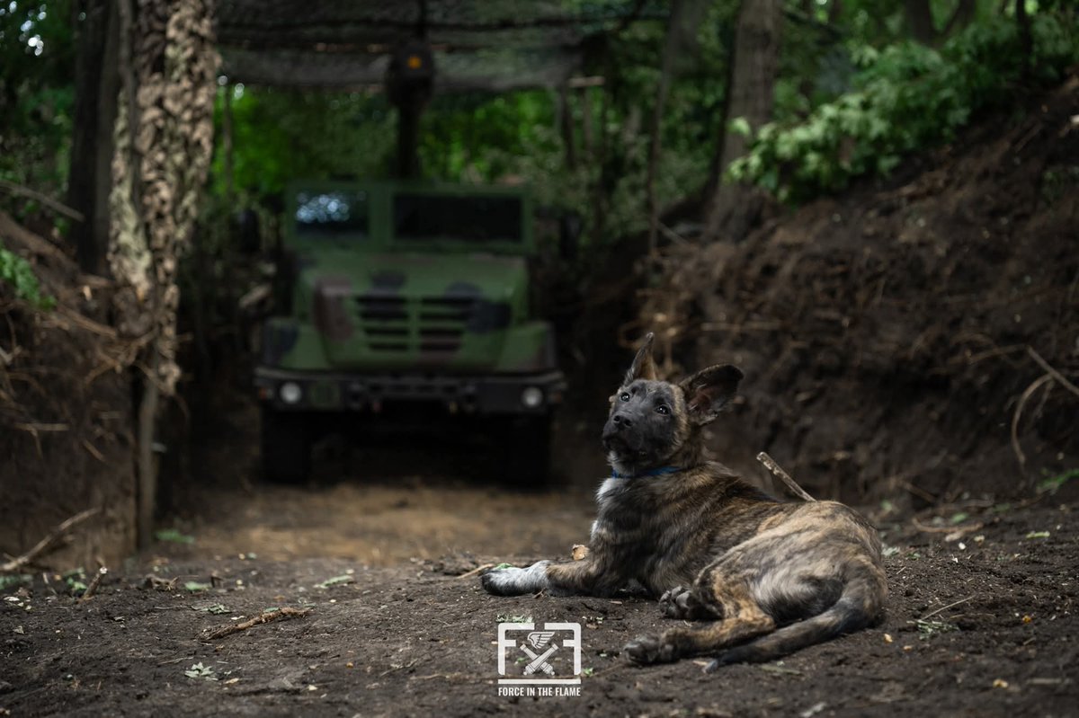 GeneralStaffUA's tweet image. Оперативна інформація станом на 16:00 23.07.2025 щодо російського вторгнення //;Від початку доби на фронті відбулося 72 бойових зіткнення // facebook.com/share/p/1BEnnE…