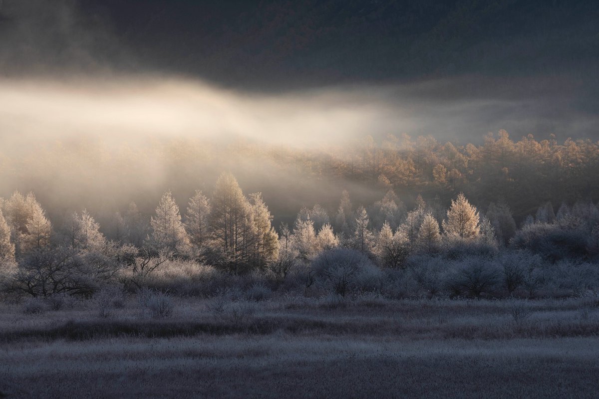 HooskeRei's tweet image. #愛用レンズを画像付きで布教する
TAMRON SP 70-200 F2.8 G2
これでニコンの公式カレンダーに採用されましたw
ごめんなさいww
(ちゃんとカレンダーの使用レンズに記載あり)
