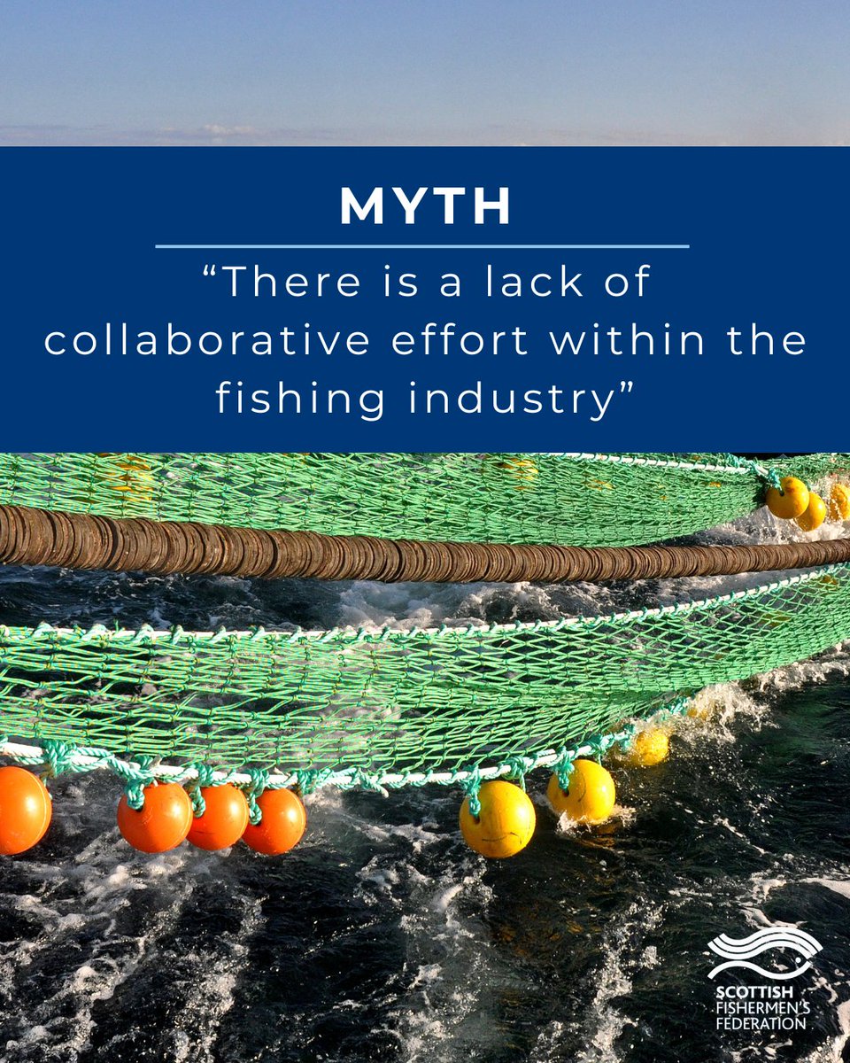 sff_uk's tweet image. Many wrongly believe there's no real collaboration in fishing. In fact, cooperation is central to Scottish fishing - where fishers, scientists & industry work together for sustainability.
Read more myths we've busted: loom.ly/FCcNSrE
#SFF #BestOfScottishFishing