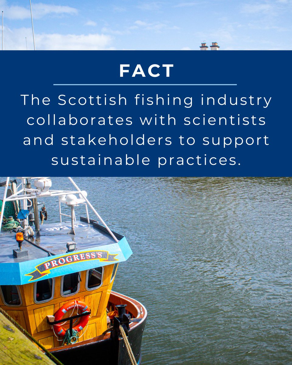sff_uk's tweet image. Many wrongly believe there's no real collaboration in fishing. In fact, cooperation is central to Scottish fishing - where fishers, scientists & industry work together for sustainability.
Read more myths we've busted: loom.ly/FCcNSrE
#SFF #BestOfScottishFishing