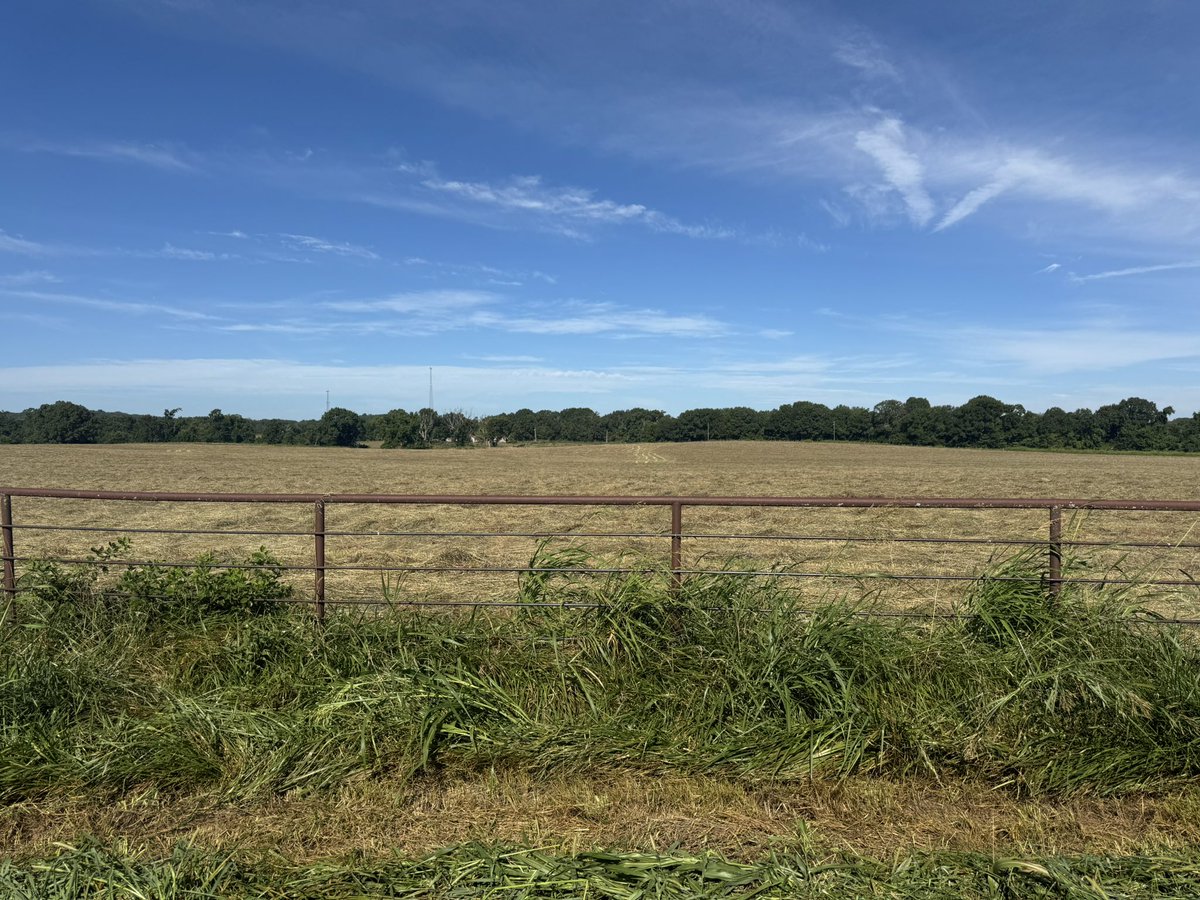 dbfarms2023's tweet image. We’ve been cutting hay all week and still at it this morning. Nanny said how do you plan on getting all this done. I said keep my butt in seat of tractor you keep tea and bologna coming