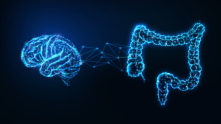 UHN_Research's tweet image. New research from @UHN shows that activating a brain receptor called TGR5 reduces food intake and restores leptin sensitivity—revealing a promising new target for treating #obesity.
🔗 Read more: uhnresearch.ca/news/activatin…