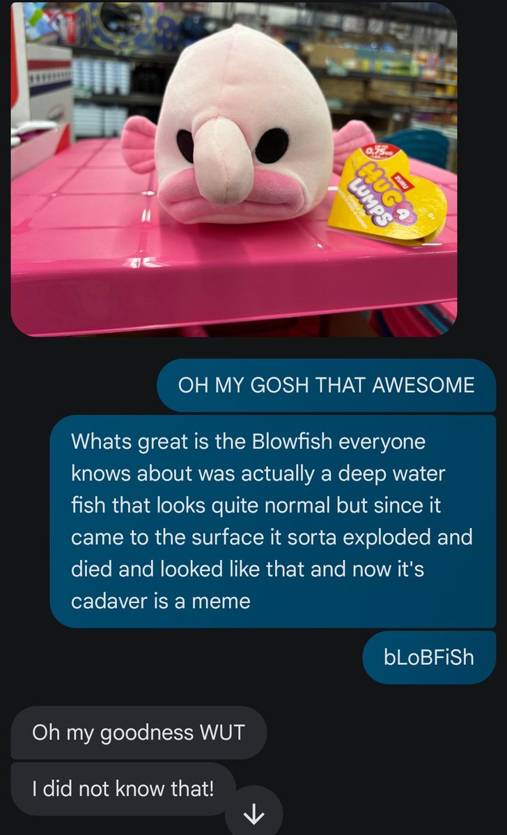 NerdyNighthawk's tweet image. I enjoy ruining my friends&apos; day 😁