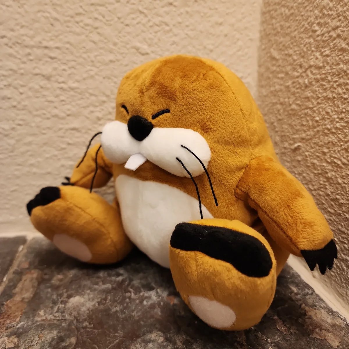 PlushieADay's tweet image. Monty Mole plush!
- Not sure on his initial release but he has a few re releases so it’s kind of hard to tell but he was released by Nintendo
- Was sold in select retailers ❤️
- I love this mole (he’s actually one of my most wanted plushies)