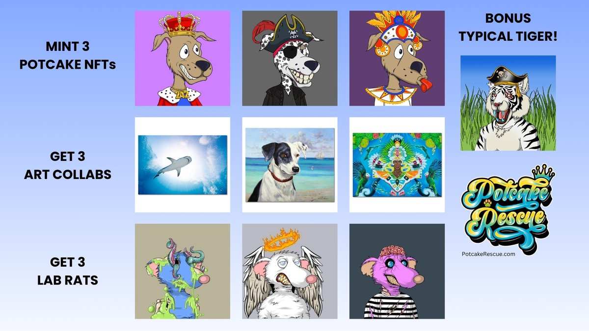 PotcakeNFT's tweet image. Mint 3 Potcake NFTs and end up with 10 NFTs.
Our artist collaborators are bringing the heat. π₯
Plus, those Lab Rats currently qualify for a weekly $25USDC drawing from @FatRatMafia
And, my goodness, those Typical Tigers are wow! π€© @TypicalTigerNFT
β³Time and supplies areβ¦