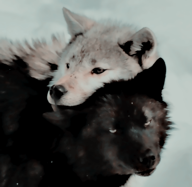 —<a href="/thefadedsunrise/">𝐒𝐞𝐥𝐞𝐧𝐞</a>.