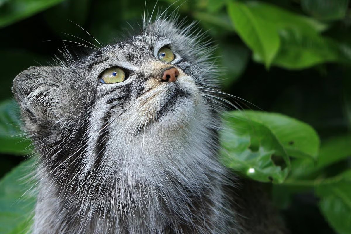 how i look at the  spider hanging in my ceiling (living rent free)