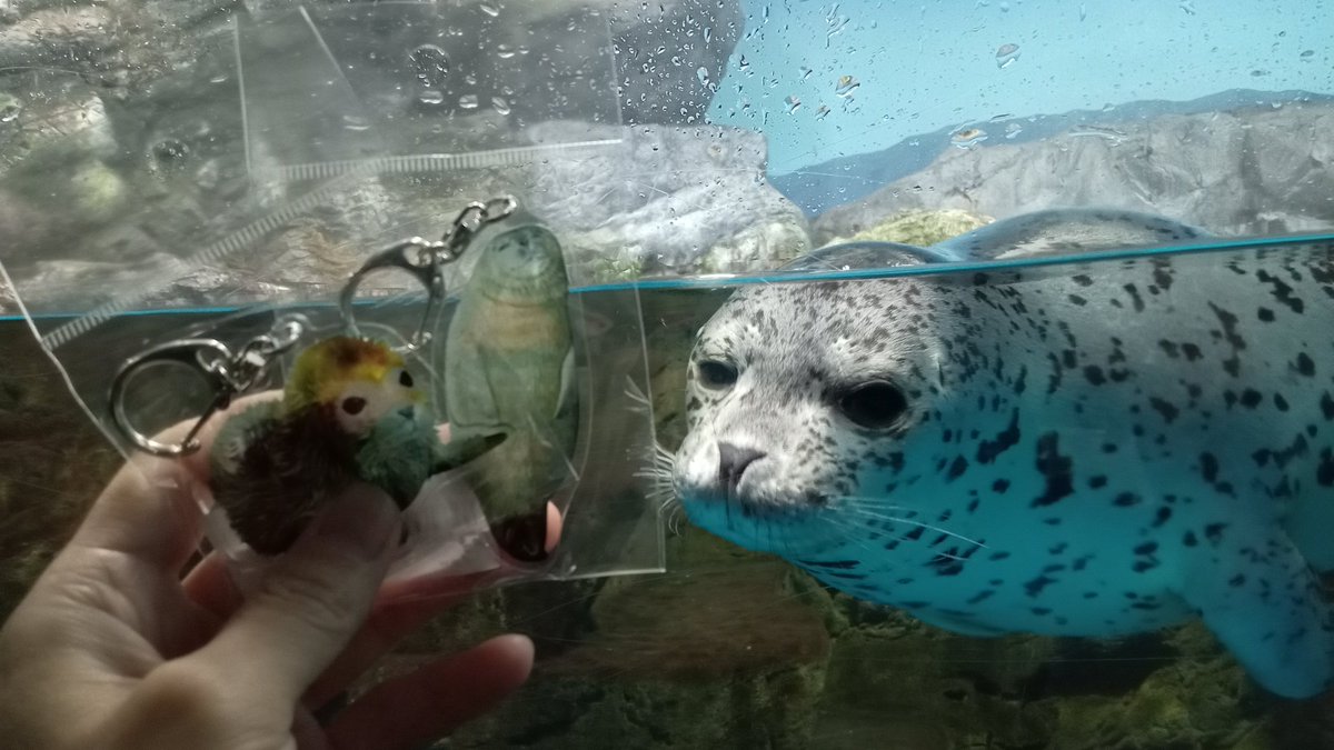mutsuki__0723's tweet image. うしおくんグッズ発売中です!
#浅虫水族館