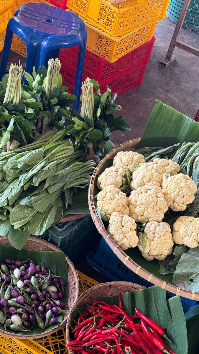 jungwboo_'s tweet image. กินผักกันเยอะๆครับบ PIECES 🧩❤️