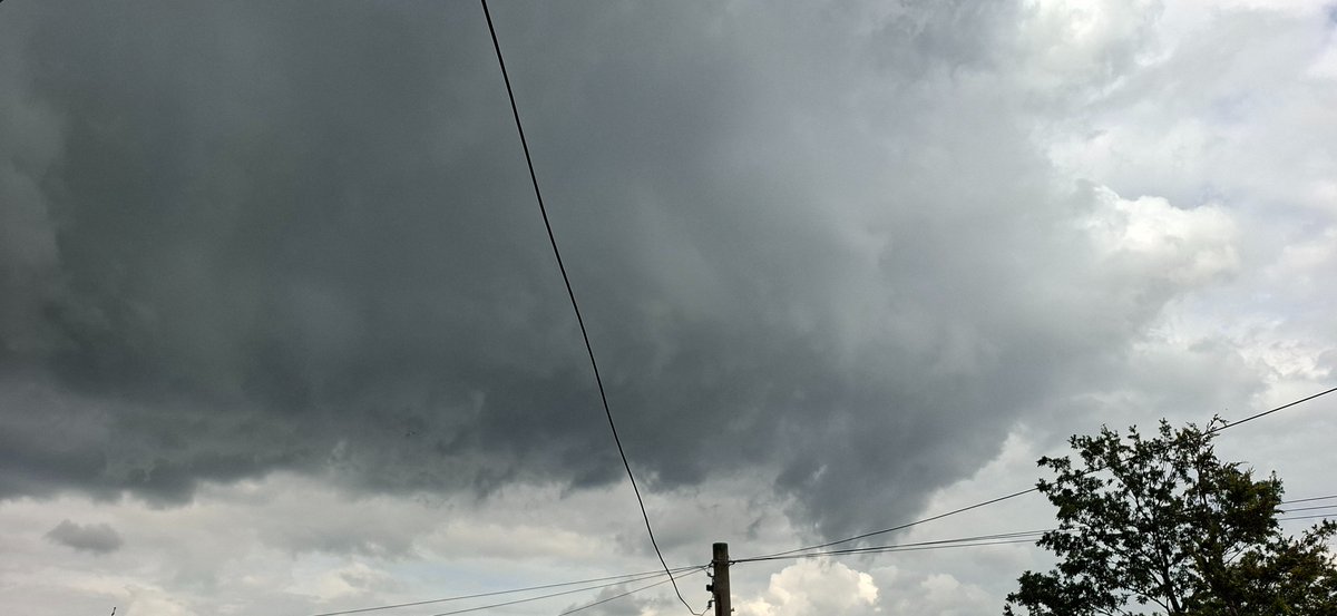 TangoH21's tweet image. More menacing skies today, been mostly cloudy under the convergence but plenty of towering Cu drifting south.