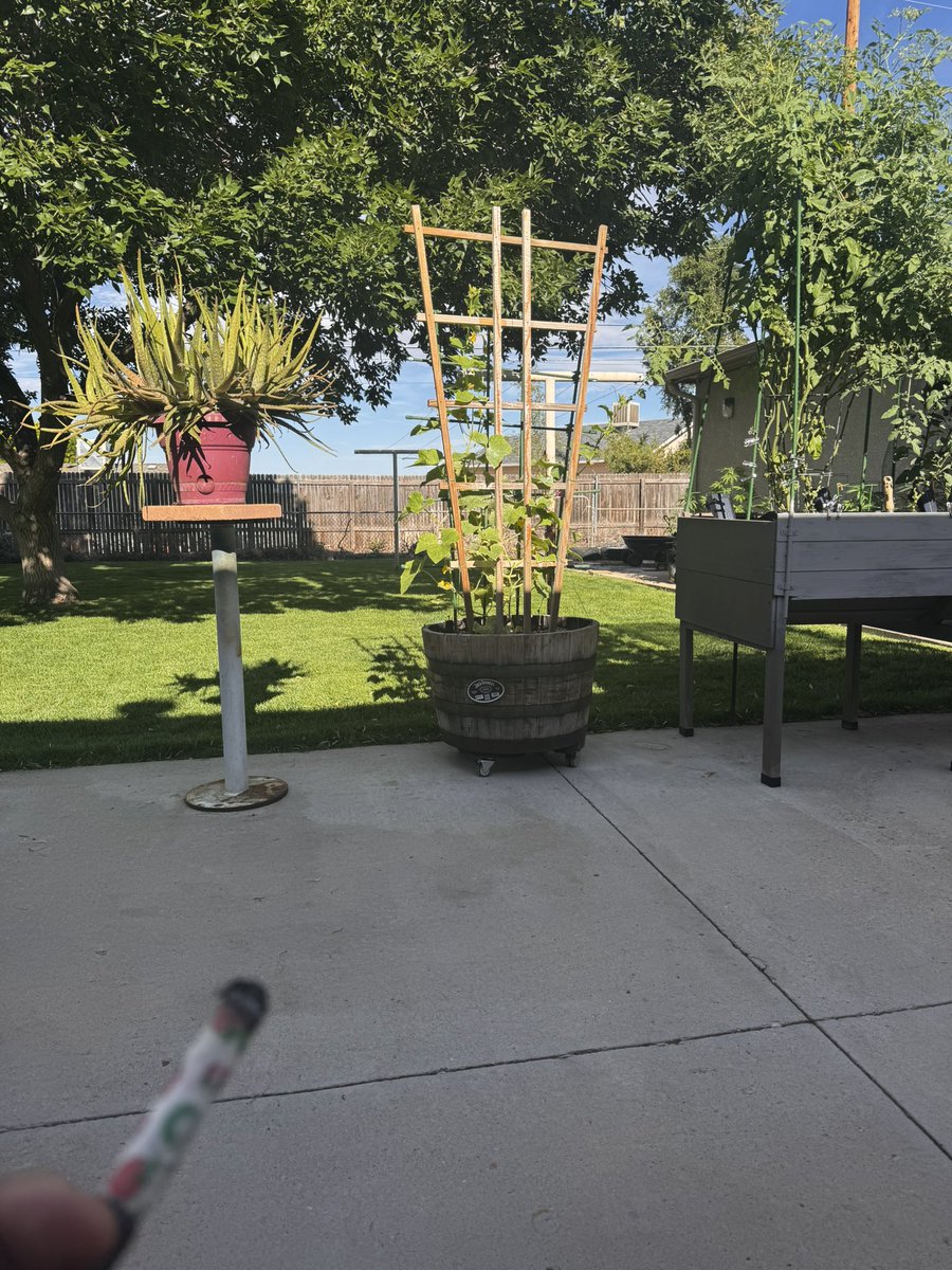 Azul_320's tweet image. Kicked off the day with a productive morning of yard work. Loving the results 😎