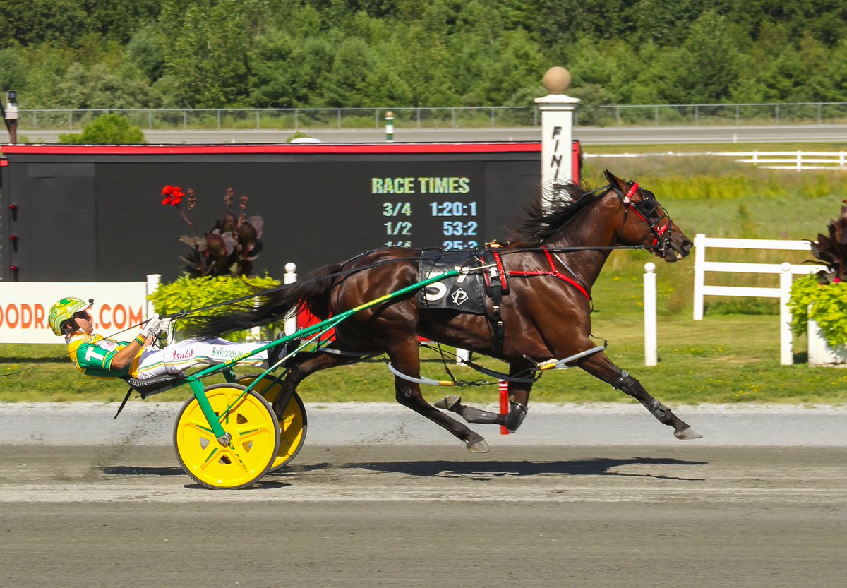PlainridgePark's tweet image. WORLD RECORD SHATTERED! π
Sylvia Hanover blazed to a 1:47.2 victory in the Clara Barton Pace at Plainridge Park this Sunday, setting a new world record AND the fastest mile in track history. Absolutely legendary!
#HarnessRacing #WorldRecord #SylviaHanover #PlainridgePark