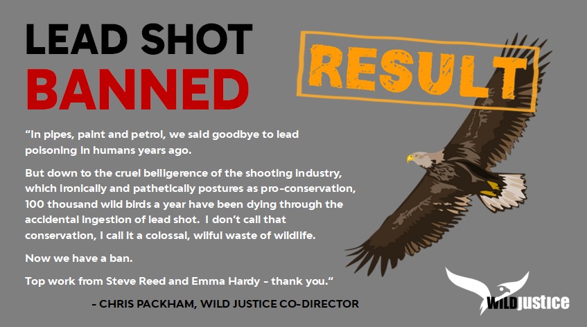 Defra's announcement on forthcoming lead ammunition ban in UK leads to extraordinary gaslighting exercise by game-shooting organisations.

New blog ⬇️⬇️

raptorpersecutionuk.org/2025/07/23/def…