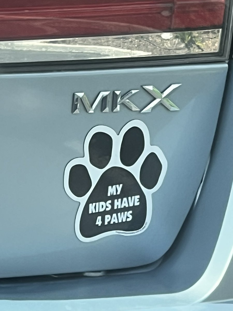 shortmagsmle's tweet image. Guess the weight, age, and ethnicity of the woman in front of me at the drive thru