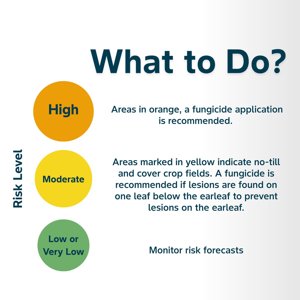 BayerCropProUS's tweet image. Conditions within most of the Corn Belt are moderately to highly favorable for #GrayLeafSpot over the next two weeks. 🌽 Read more: spr.ly/6012fyIhi

#Corn #DelaroComplete #AmericanFarmers #CornBelt #Scout25