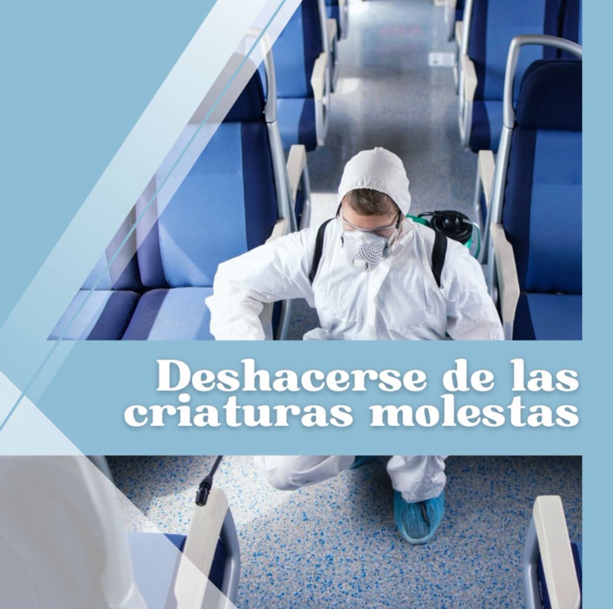 Psaipe's tweet photo. comercial@psai.pe https://t.co/6tXYutAu60