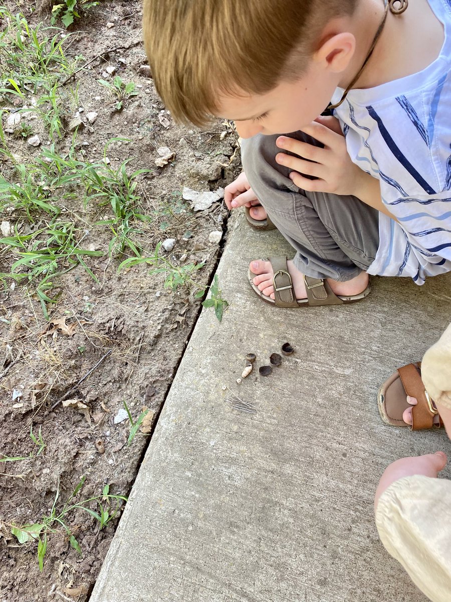 AppyOrtho's tweet image. Today’s “get outside time” we collected acorns and snail shells and now we are making boats.