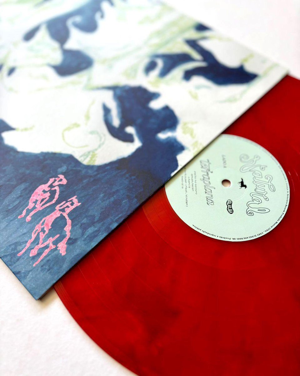 trrpln's tweet image. discos de vinil e camisetas disponíveis na loja balaclava