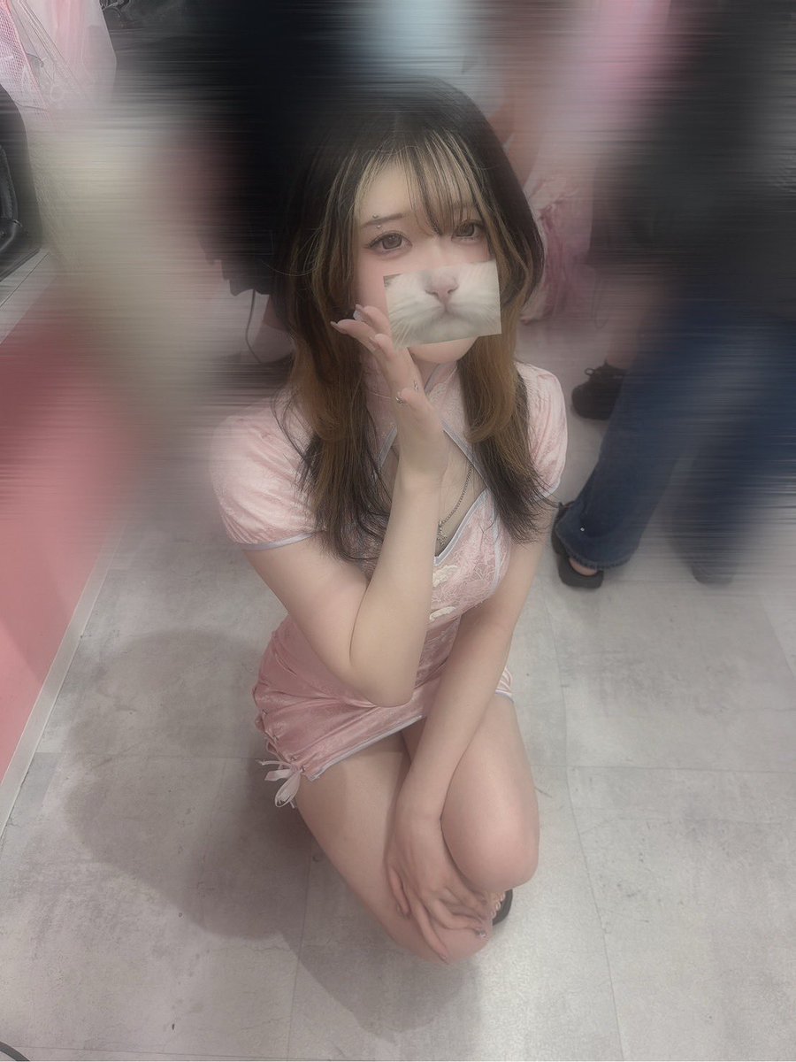 repo_chann's tweet image. ボツ作