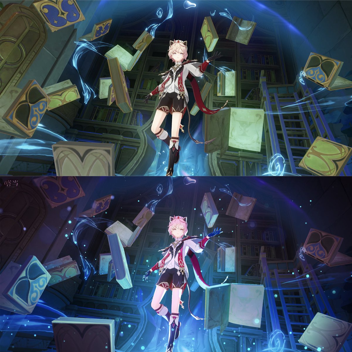 #dahlia #genshin #ダリア #原神写真部