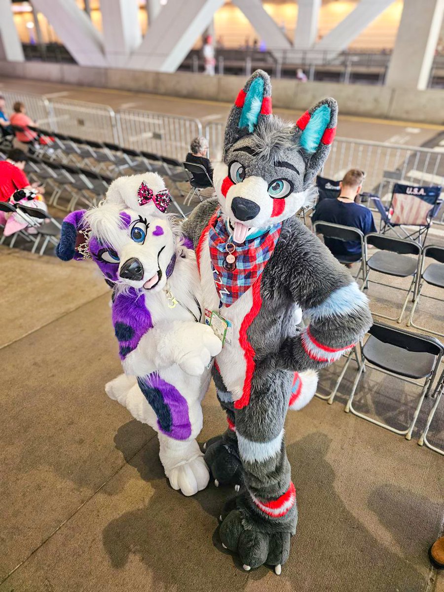 BlizzTheWolf's tweet image. A princess collie and her loyal court jester 👸❤️🤪
📸: @thelyanscott