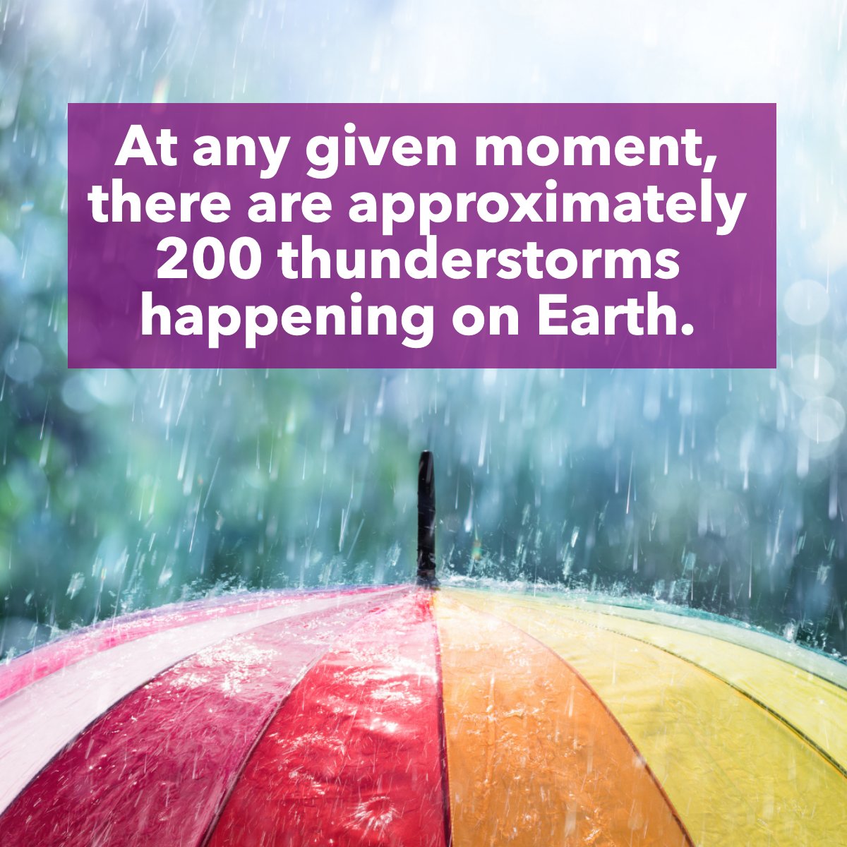 Kim Ramsey tweet media