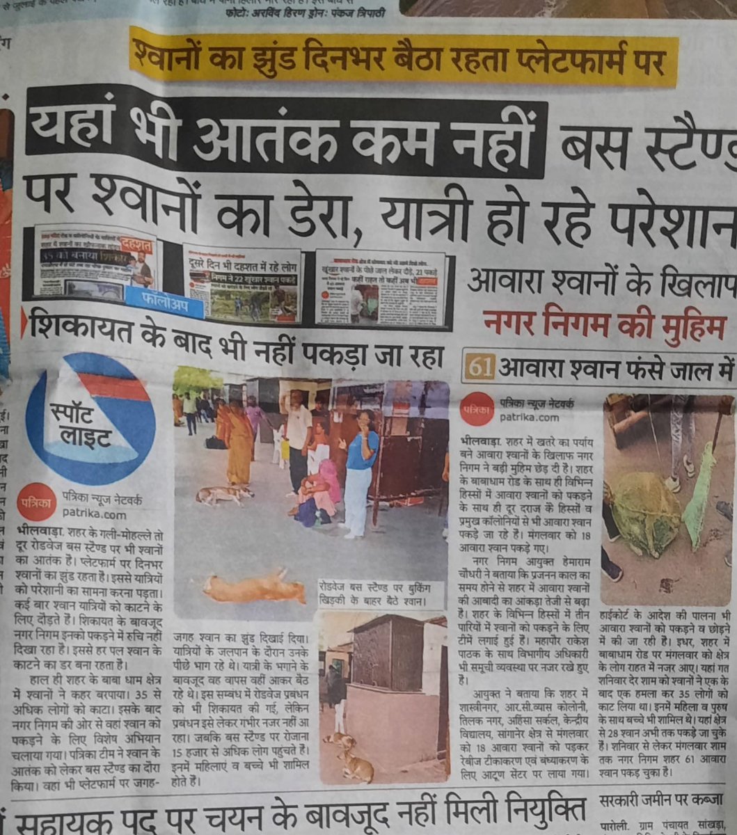 धन्यवाद नगर निगम और मीडिया को ,कार्यवाही देर से हुई ,40 लोगो को कुत्ते के काटने के बाद ।अभी भी बापूनगर मे कोई कार्यवाही नही हुई है ।यह कार्य वर्ष पर्यंत नियमित अंतराल पर होना चाहिए 
<a href="/RajCMO/">CMO Rajasthan</a> 
<a href="/INCRajasthan/">Rajasthan PCC</a> 
@nagarnigambhilwara