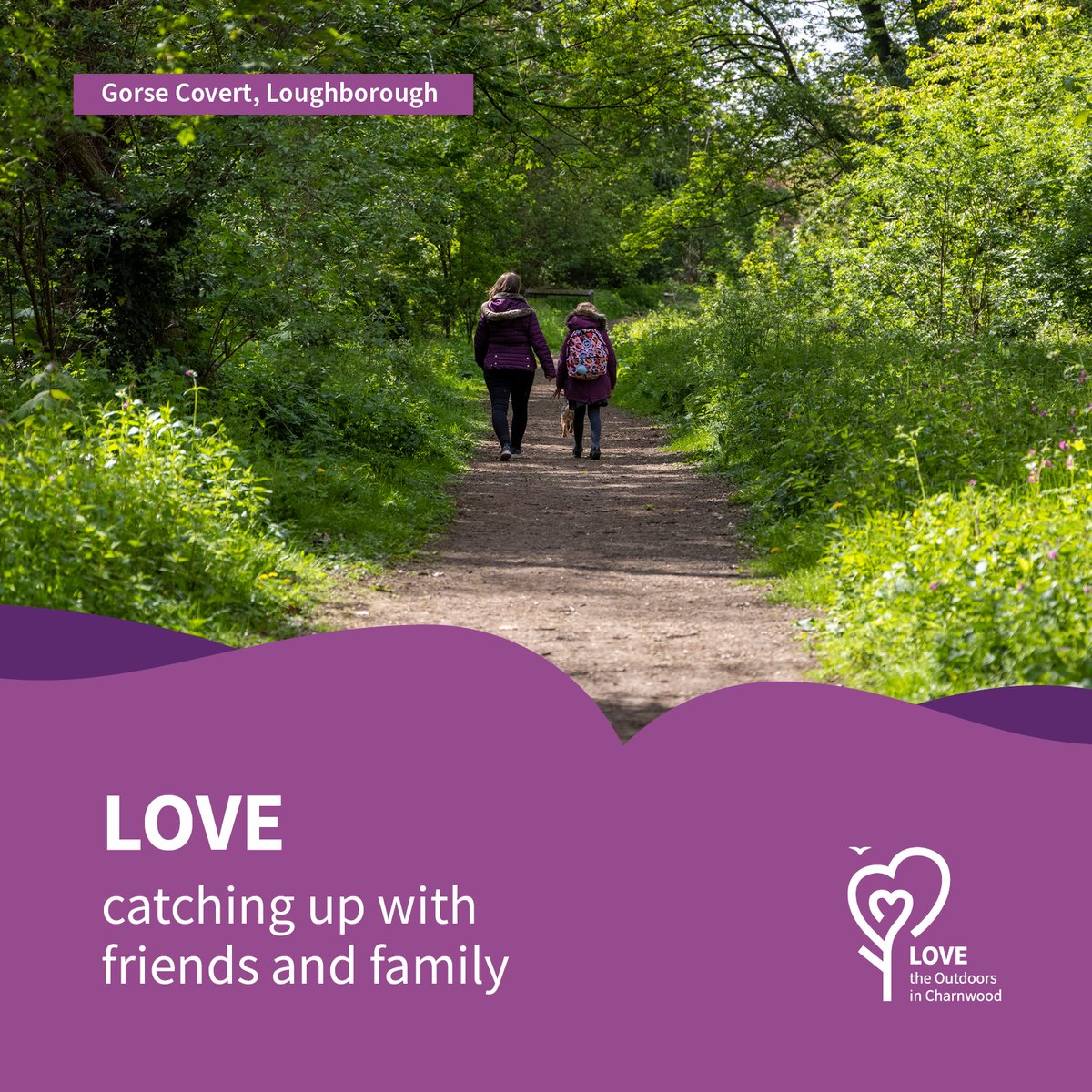 CharnwoodBC's tweet photo. 🌳Gorse Covert is almost 4 hectares and is dominated by oak, ash and sycamore.

📍Located in Loughborough, LE11 5RU. https://t.co/VRHYHlzkhX