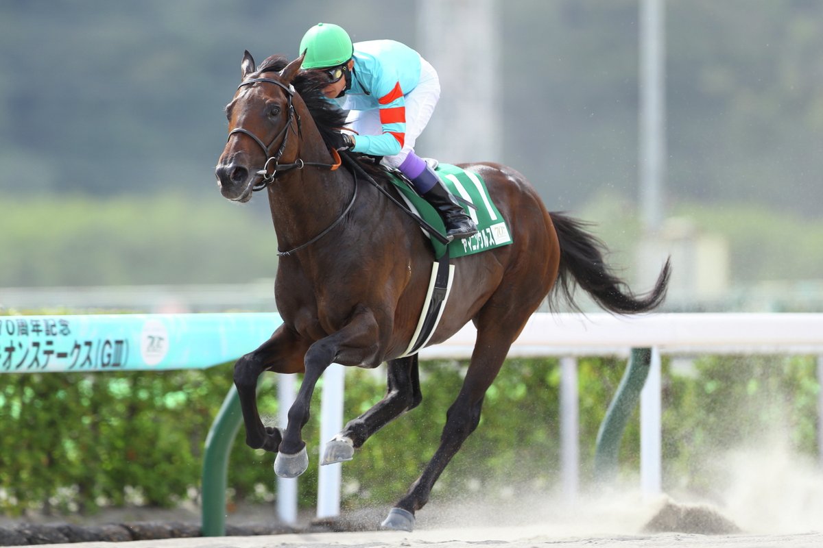JRAVAN_info's tweet image. 今週末の27日に行われる #東海ステークス は、昨年までのプロキオンSと開催時期、施行条件を入れ替えてのリスタート。小倉競馬場のダート1700mで行われた昨年のプロキオンSではヤマニンウルスが無傷の5連勝で重賞初挑戦、初制覇を飾りました。